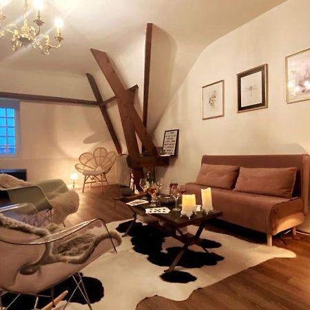 Grand Appartement Place Saint-Pierre, Proche Chateau De Saumur Et Bord De Loire" Exteriör bild