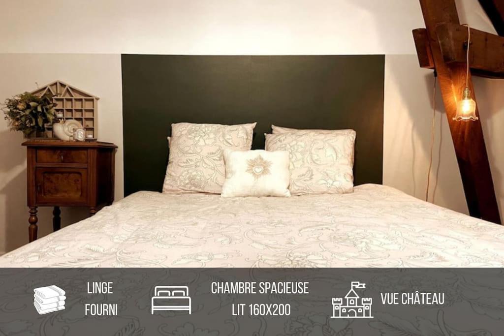 Grand Appartement Place Saint-Pierre, Proche Chateau De Saumur Et Bord De Loire" Exteriör bild
