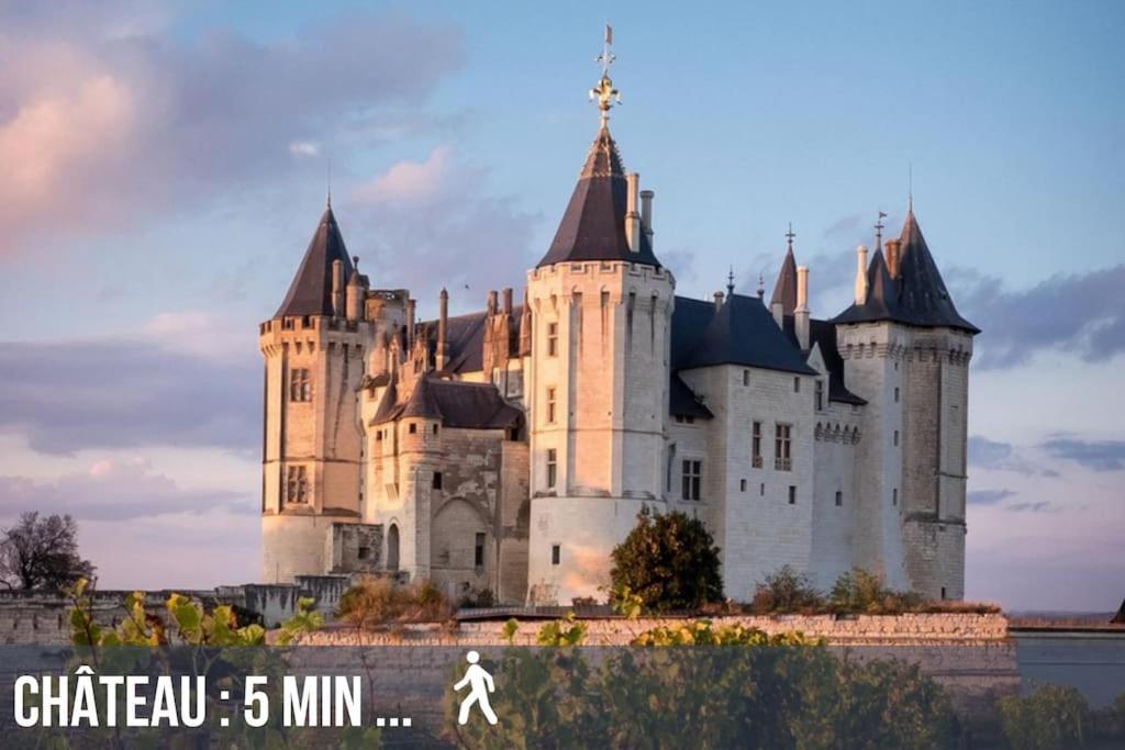 Grand Appartement Place Saint-Pierre, Proche Chateau De Saumur Et Bord De Loire" Exteriör bild